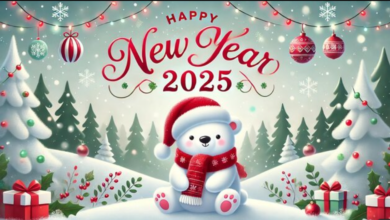 Goodbye 2024 welcome 2025 Quotes Funny