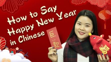 Chinese Happy New Year | Chinese New Year 2025