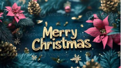 Merry Christmas Wishes & Happy New Year