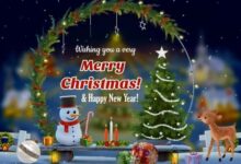 Good Wishes for Christmas and New Year