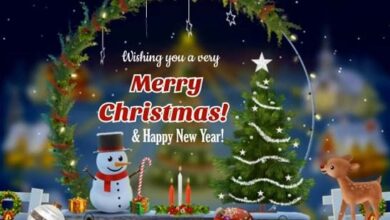 Good Wishes for Christmas and New Year