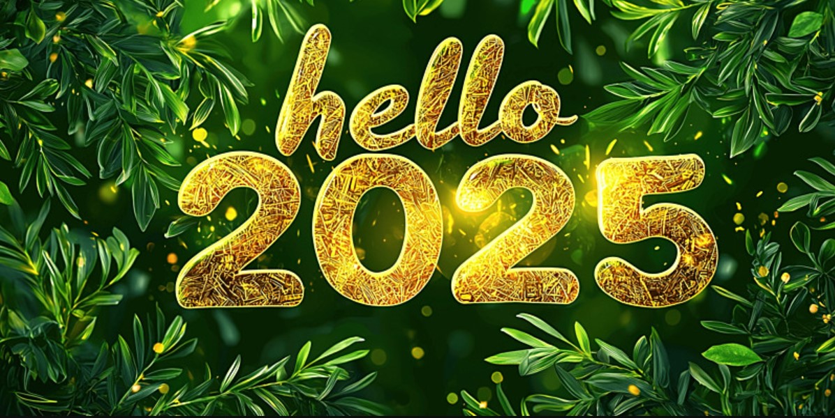 Picture of Happy New Year Wishes 2025: Celebrate in Style