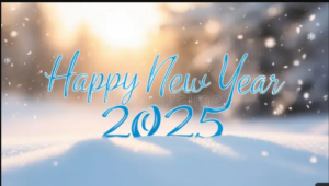 Goodbye 2024 welcome 2025 Quotes Funny