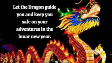 100+ USA Happy Lunar New Year 2025 Wishes