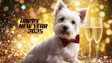 Best 100+ Happy New Year 2025 Wishes Images with Quotes, GIFs, and Funny Messages